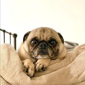 Meet your Posher, Marcie